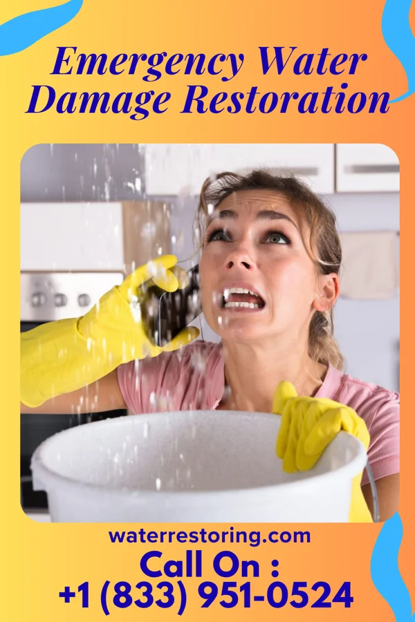 Emergency Water Damage Restoration in Sardis, KY